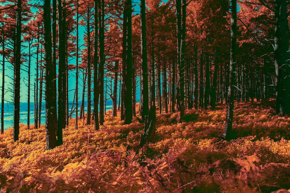 The Spectral Divide Space Exploration Themed Photograph Series By Mako Miyamoto 16