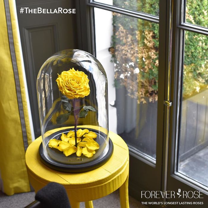 Beautiful Roses Preserved Underneath Glass Domes That Can Last For 3 Years By Forever Rose 16