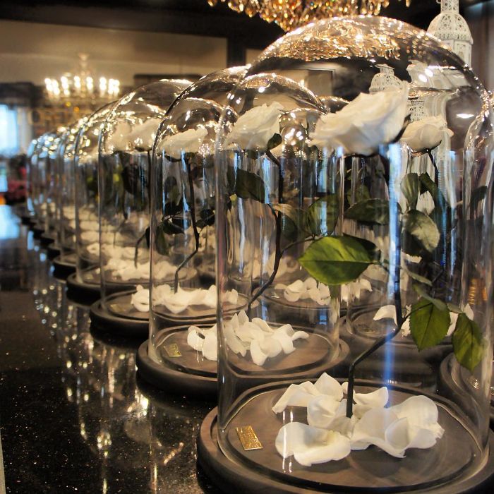 Beautiful Roses Preserved Underneath Glass Domes That Can Last For 3 Years By Forever Rose 7
