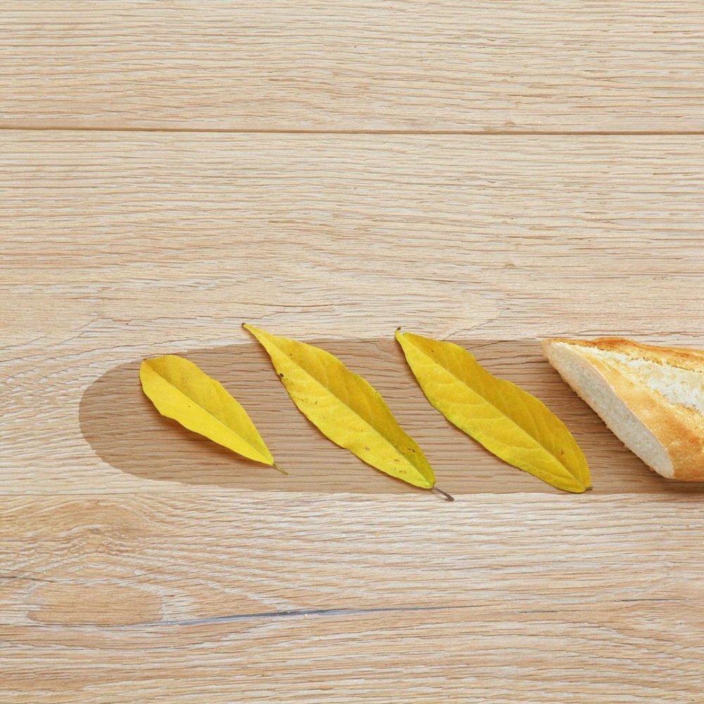 Household Surrealism The Adorable And Playful Creative Photography Of Helga Stentzel 5