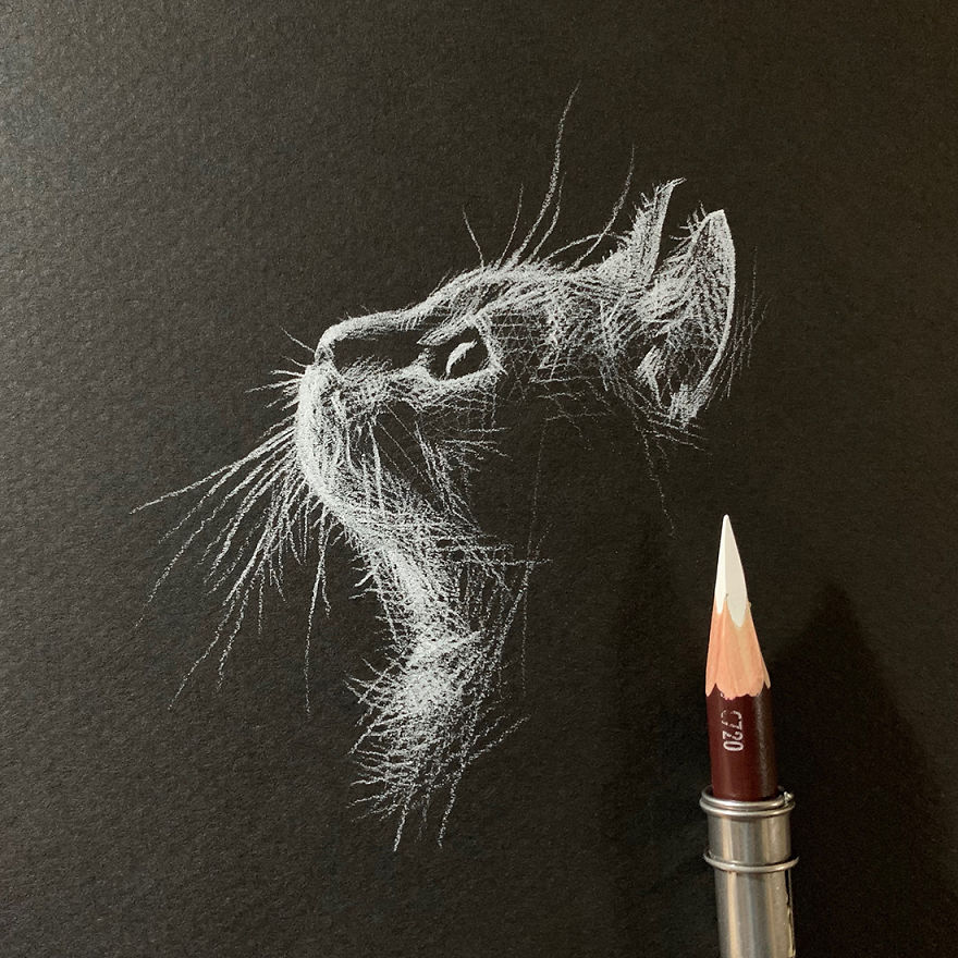 Inverted Marvelous Drawings And Sketches Made With White Pencil On Black Paper By Kay Lee 23