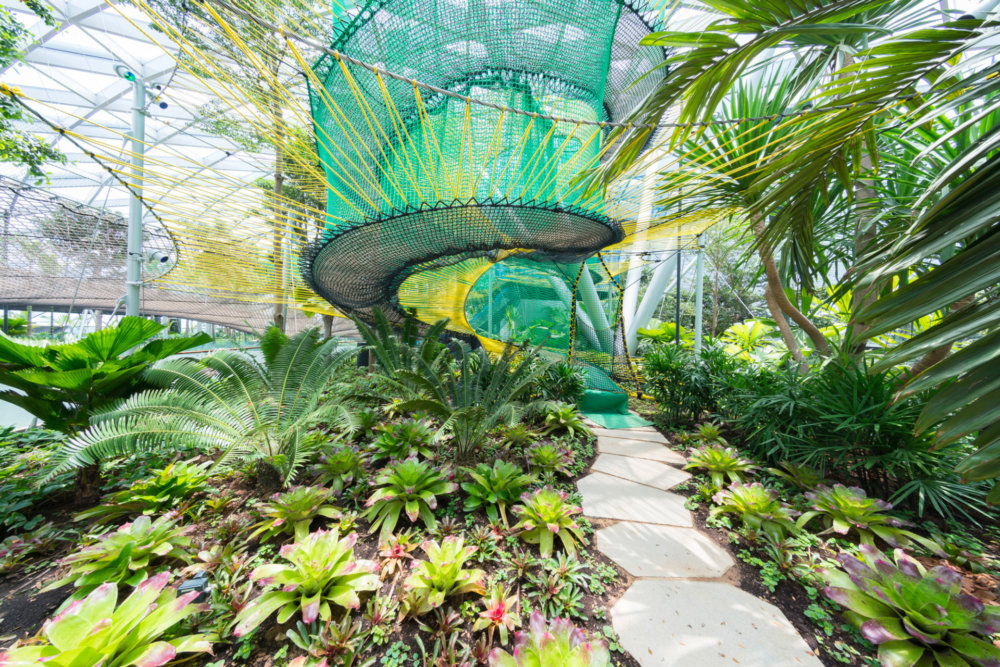 Stunning Circular Indoor Waterfall In The Main Singapores Airport Singapores Jewel Changi Airport 5