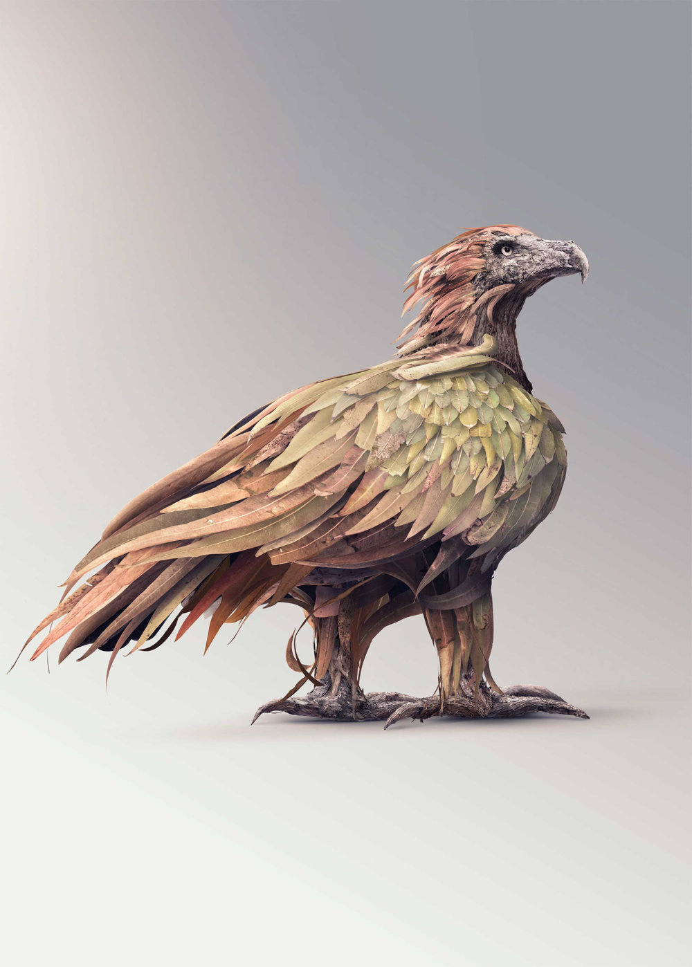 Terraform Fantastical Creatures Made Out Of Natures Elements By Josh Dykgraaf 14