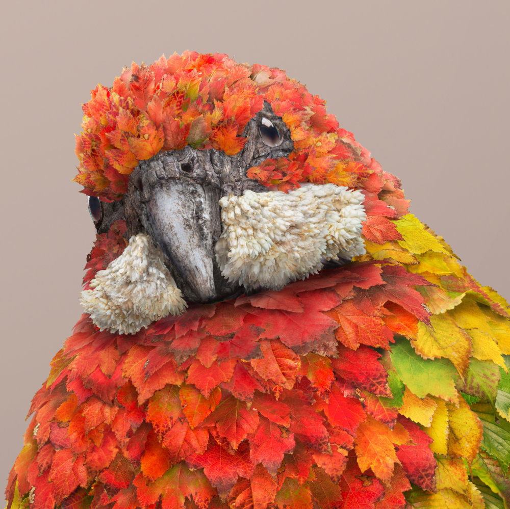 Terraform Fantastical Creatures Made Out Of Natures Elements By Josh Dykgraaf 17