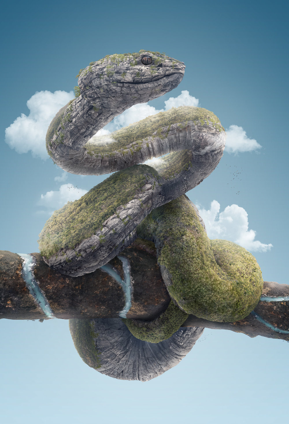 Snake Viper Reptile Series