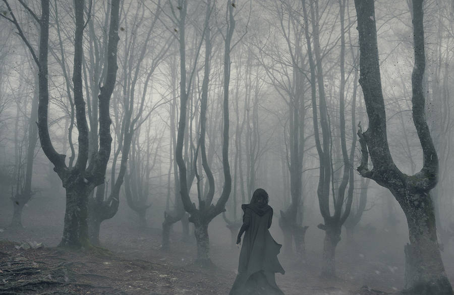 Enigma And Sensuality In The Dark Photography Of Ashley Joncas 1