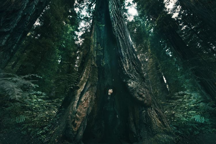 Enigma And Sensuality In The Dark Photography Of Ashley Joncas 12