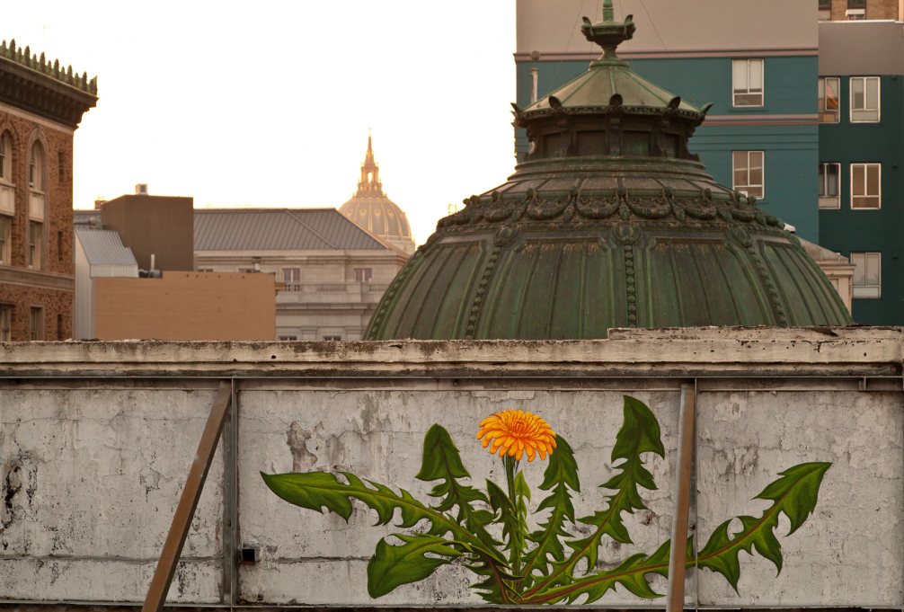 Marvelous Giant Murals Of Weeds In Bloom By Mona Caron 10