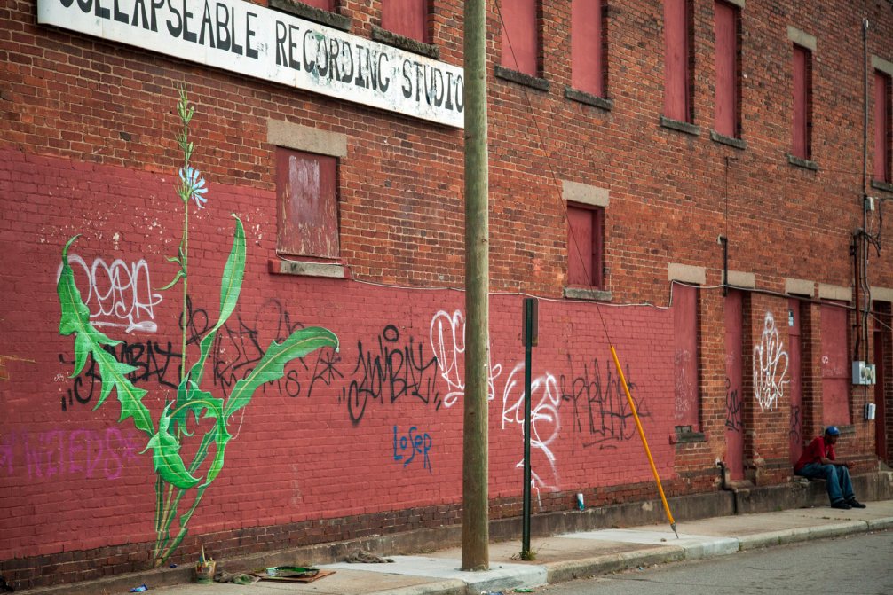 Marvelous Giant Murals Of Weeds In Bloom By Mona Caron 12