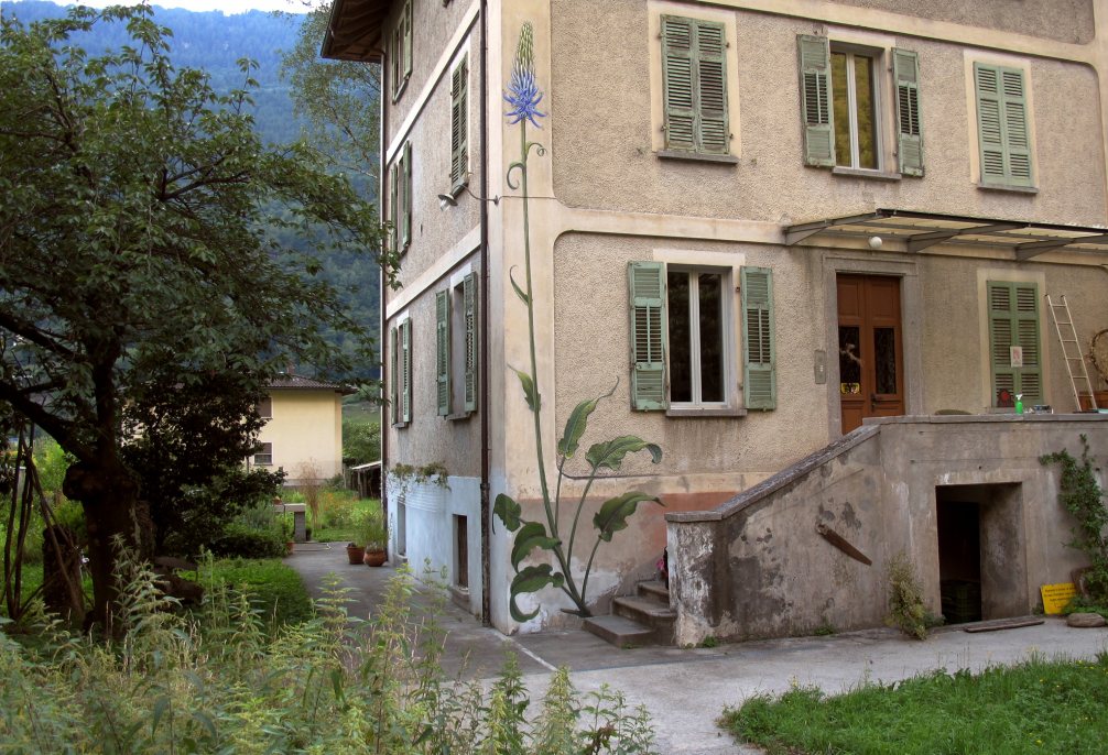 Marvelous Giant Murals Of Weeds In Bloom By Mona Caron 13