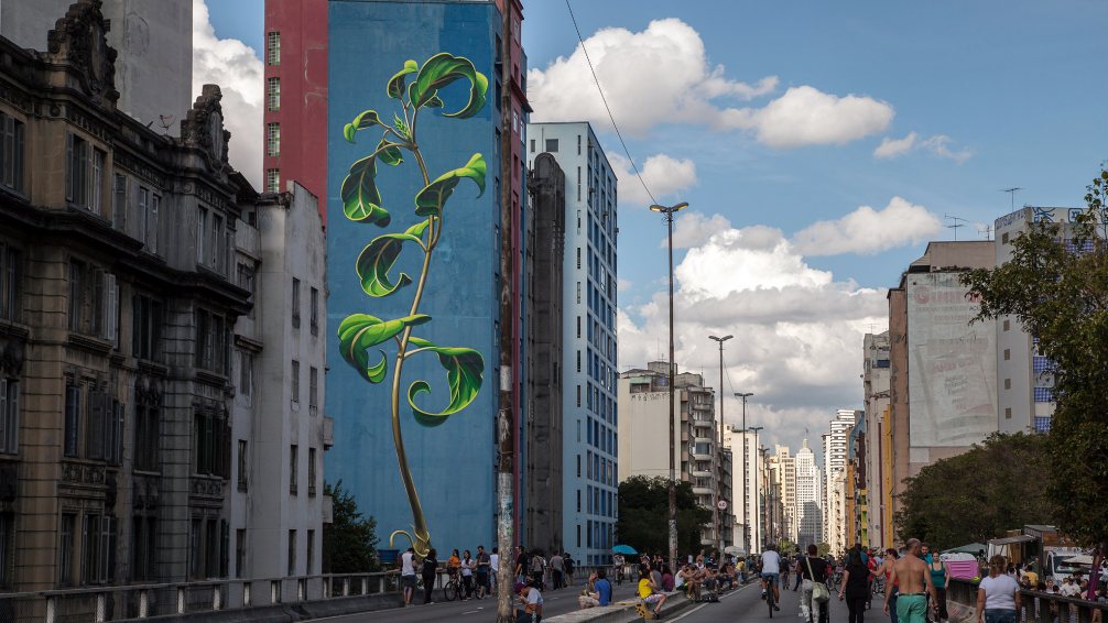 Marvelous Giant Murals Of Weeds In Bloom By Mona Caron 2