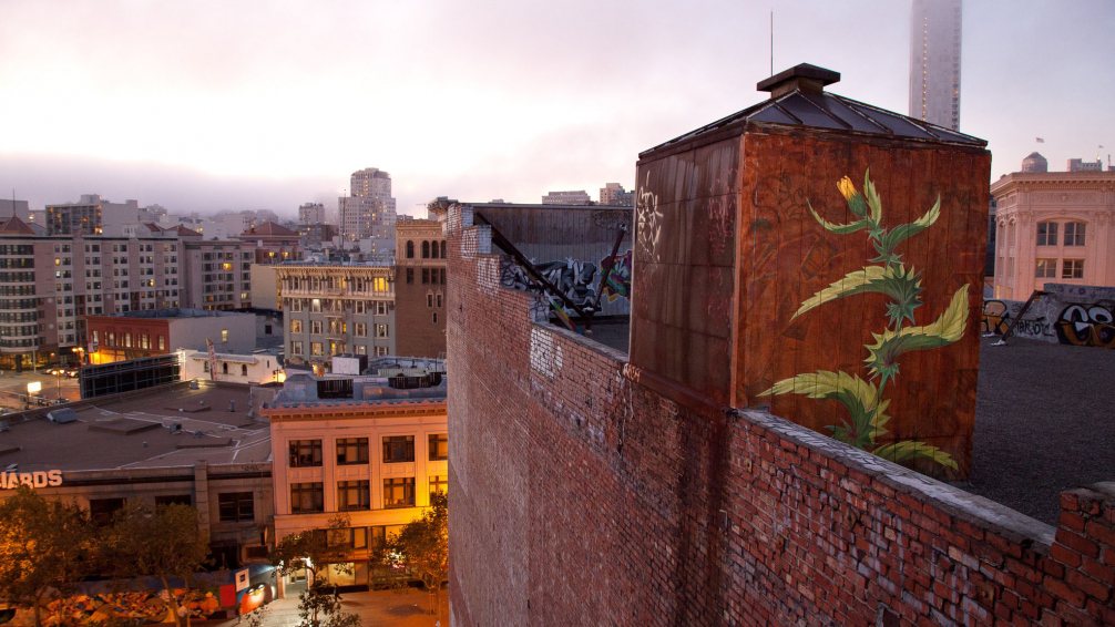 Marvelous Giant Murals Of Weeds In Bloom By Mona Caron 9