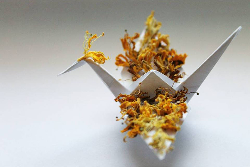 The Beautifully Detailed Origami Birds Of Cristian Marianciuc 14