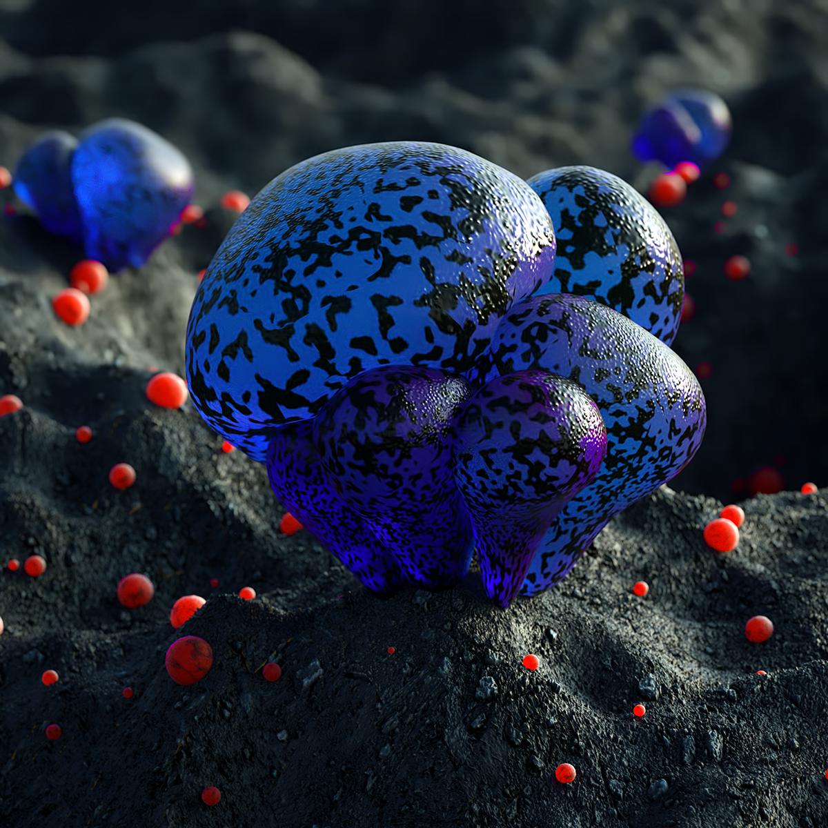 Celestial The Alien Crystal Flora Of David Brodeur 10