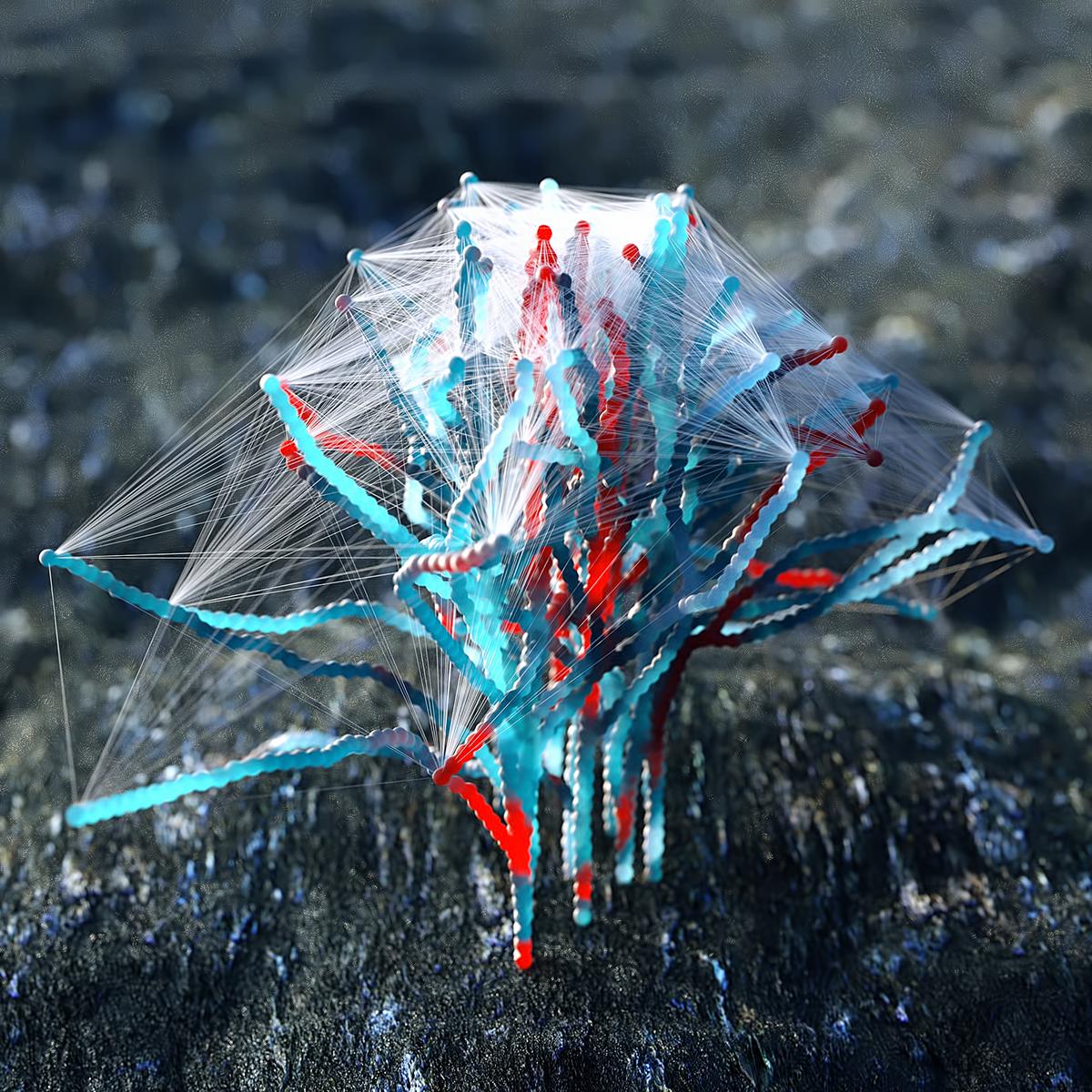 Celestial The Alien Crystal Flora Of David Brodeur 8