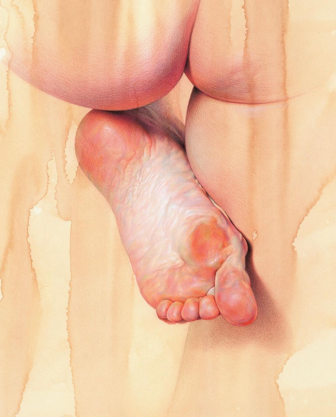 Expressive Anatomical Colored Pencil Drawings By Wanjin Gim 17