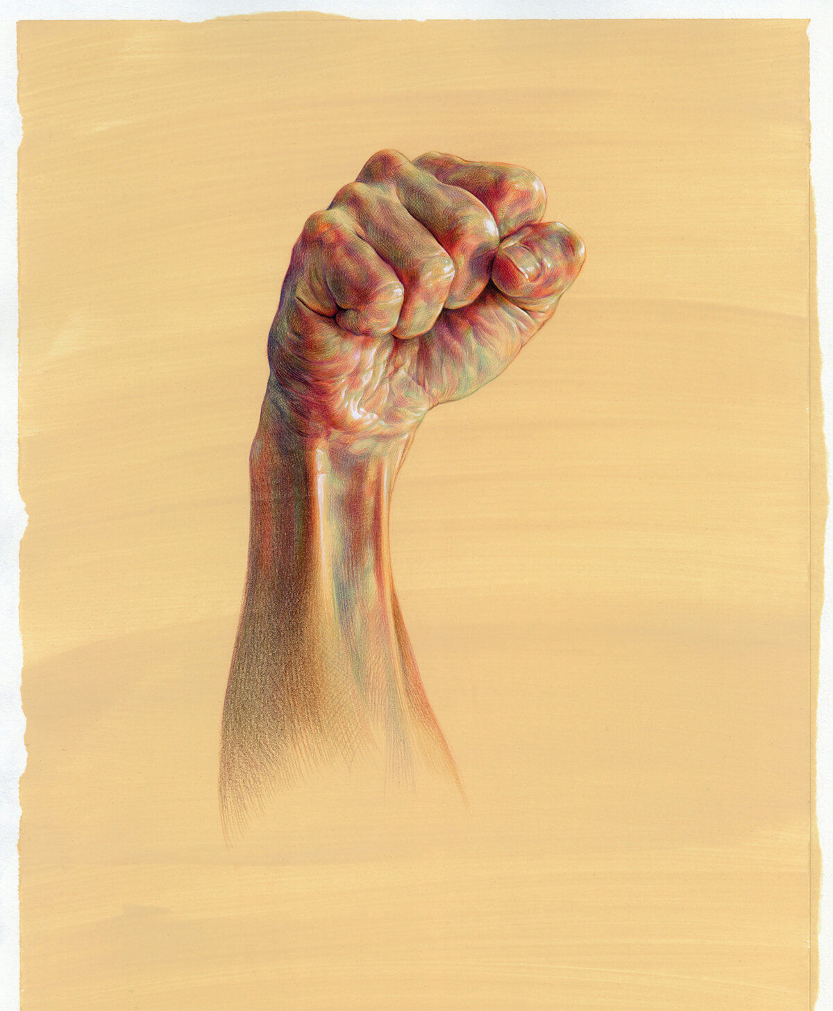 Expressive Anatomical Colored Pencil Drawings By Wanjin Gim 4