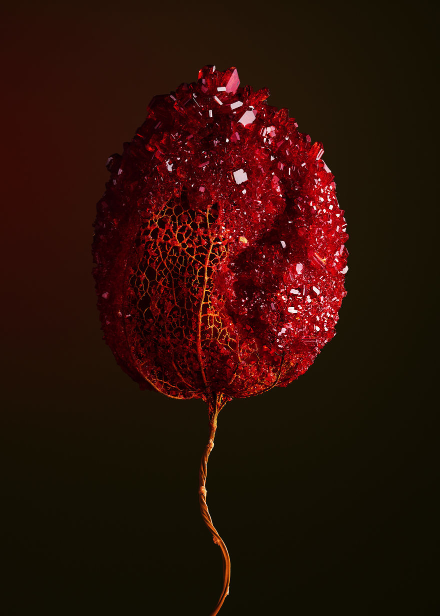 Flowers And Crystals Lush Botanical Sculptures By Alyson Mowat 1