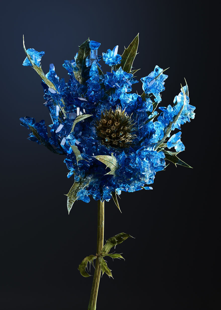 Flowers And Crystals Lush Botanical Sculptures By Alyson Mowat 3