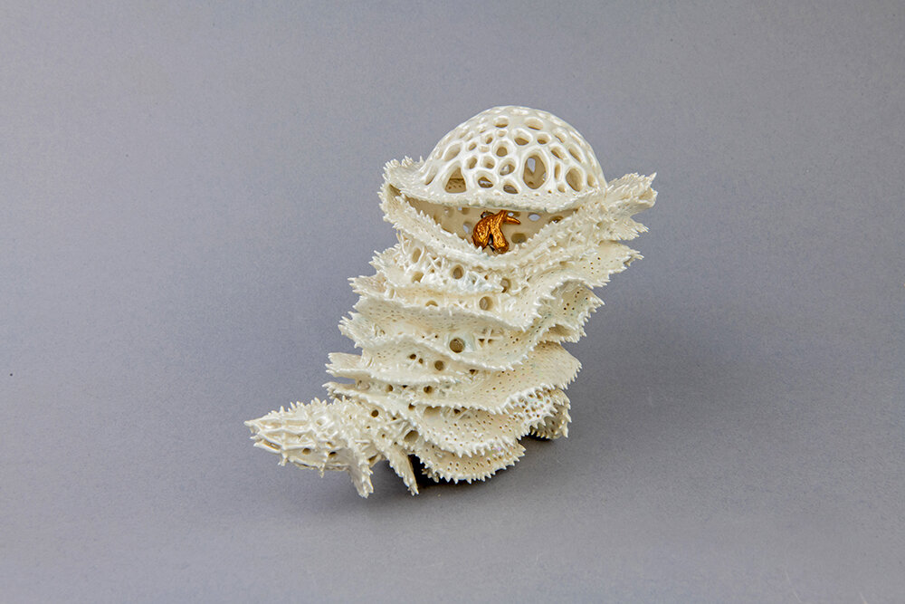 Marine Abstracts Coral Like Ceramic Sculptures By Marguerita Hagan 7