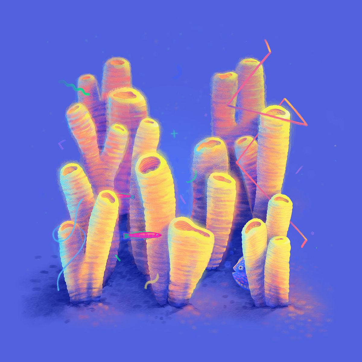 Speaking Coral Gorgeous Lush Coral Shaped Alphabet By Lena Vargas 13