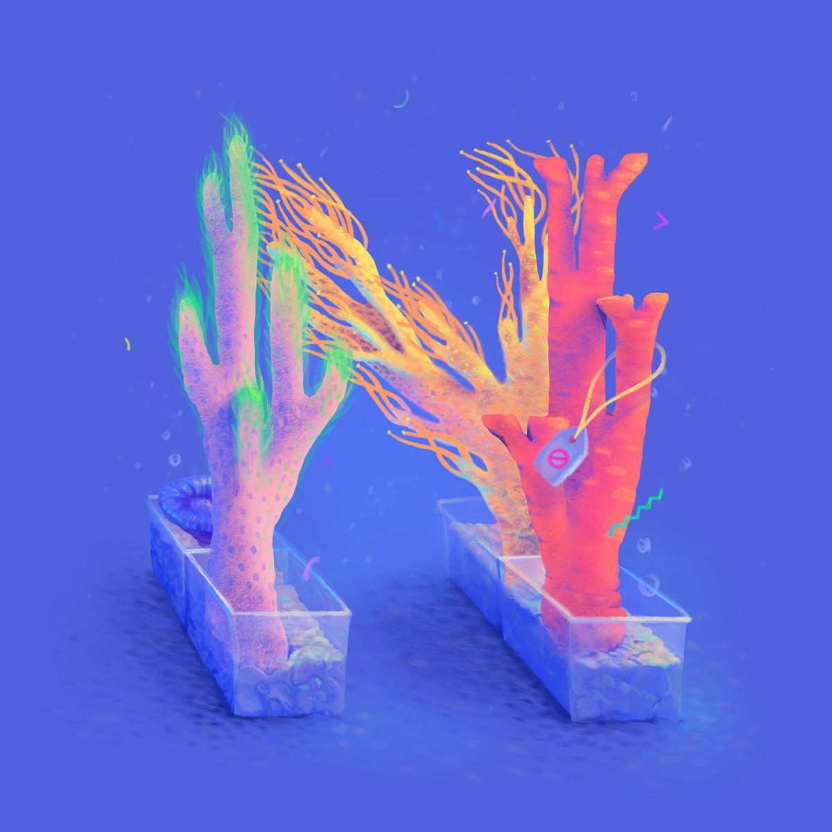 Speaking Coral Gorgeous Lush Coral Shaped Alphabet By Lena Vargas 14