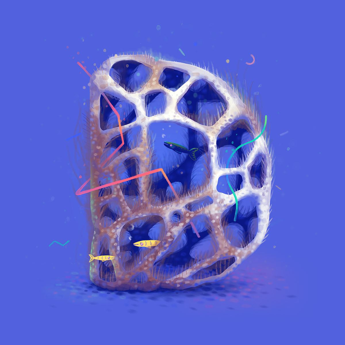 Speaking Coral Gorgeous Lush Coral Shaped Alphabet By Lena Vargas 4