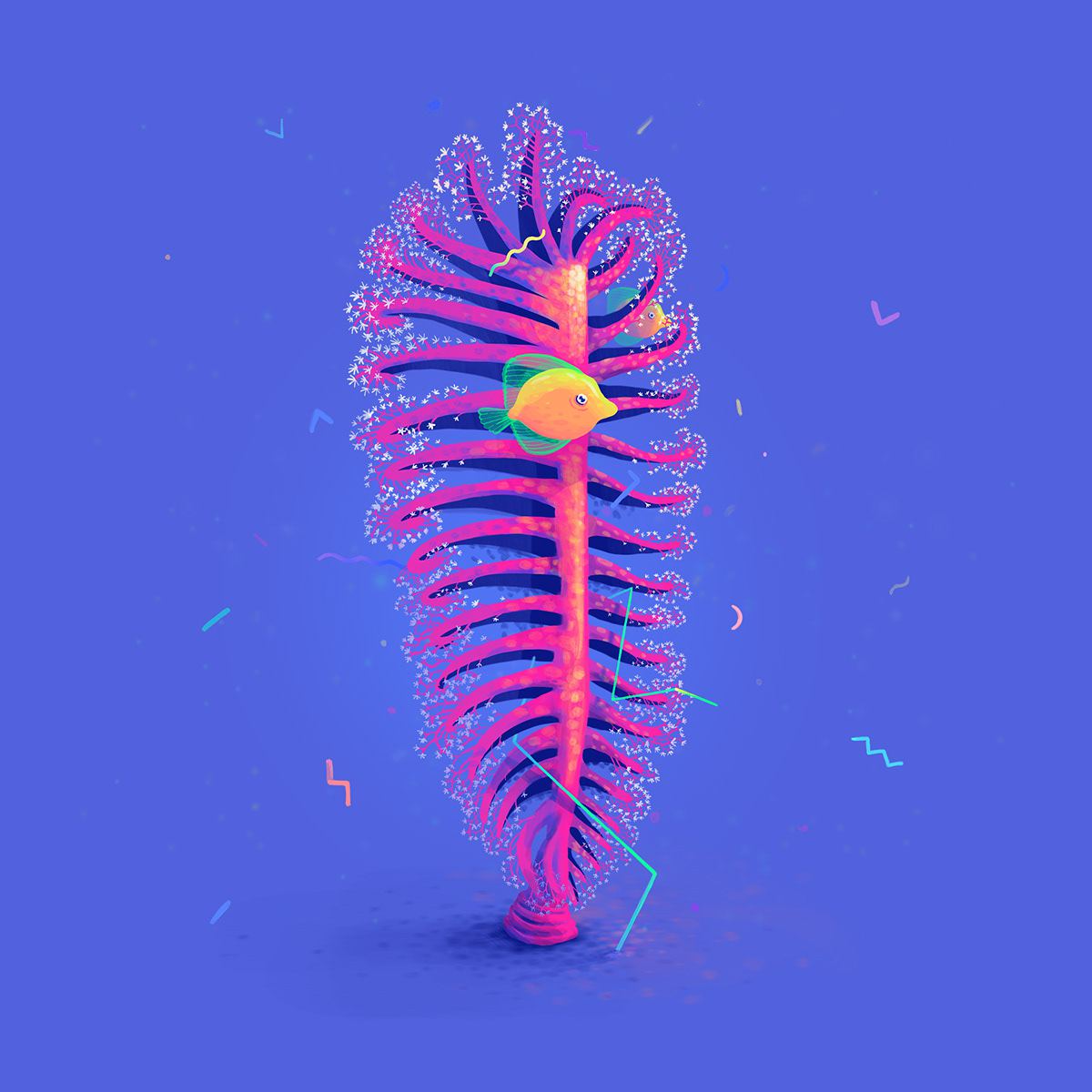 Speaking Coral Gorgeous Lush Coral Shaped Alphabet By Lena Vargas 9