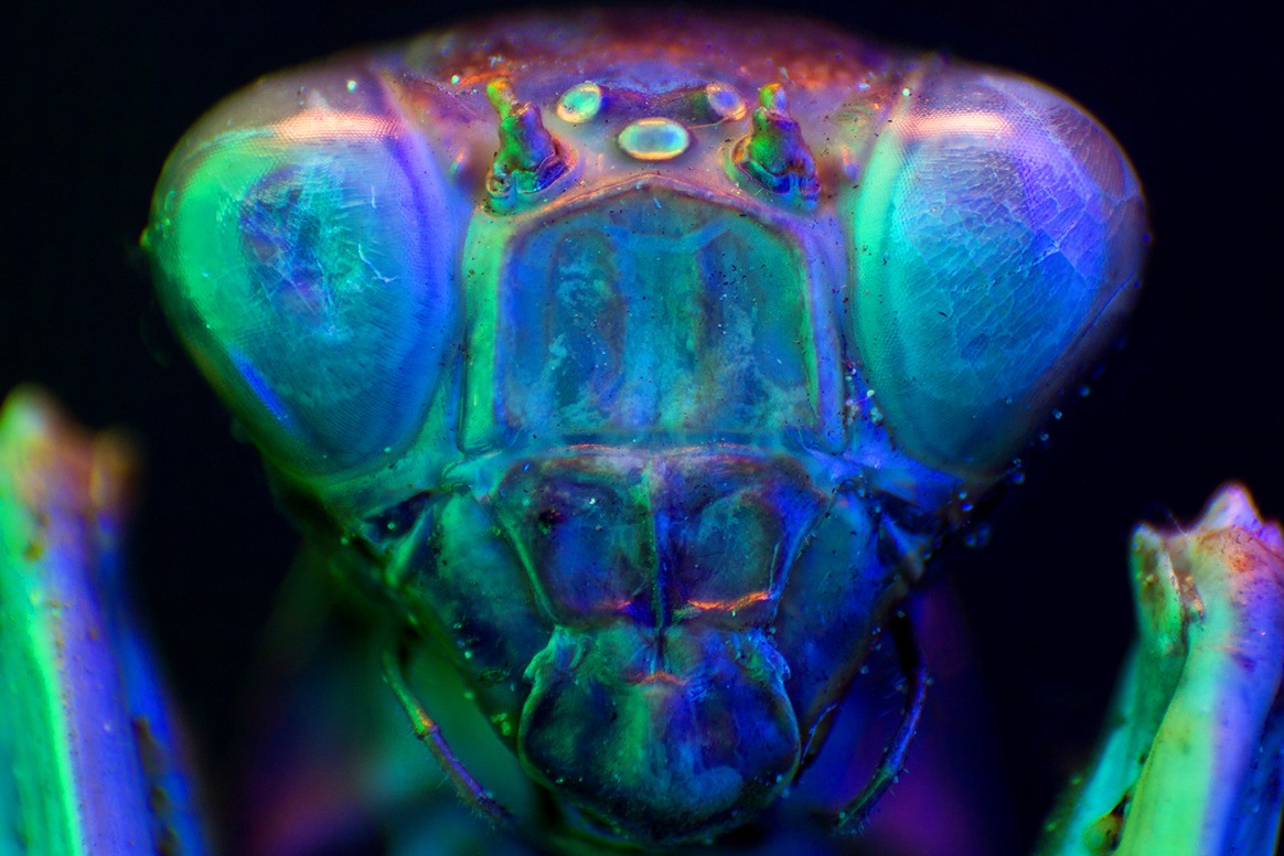 The Exuberant Neon Light Photography Of Slava Semeniuta 13