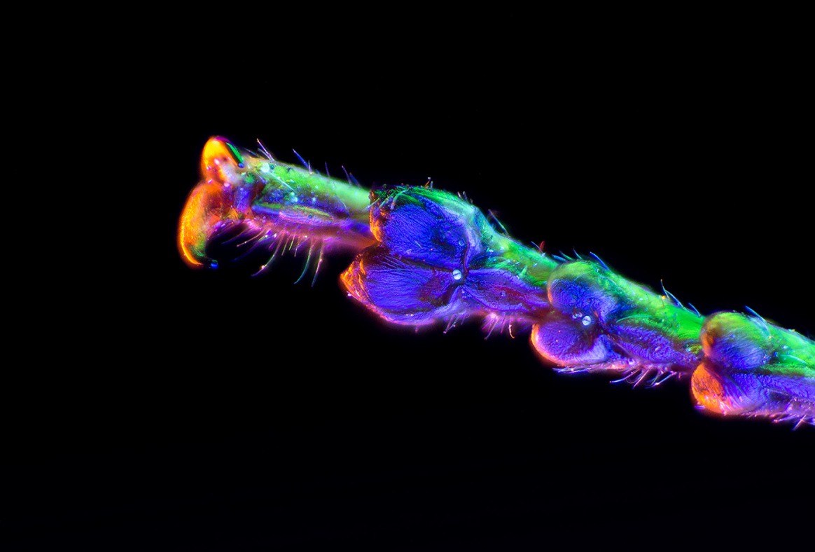 The Exuberant Neon Light Photography Of Slava Semeniuta 15