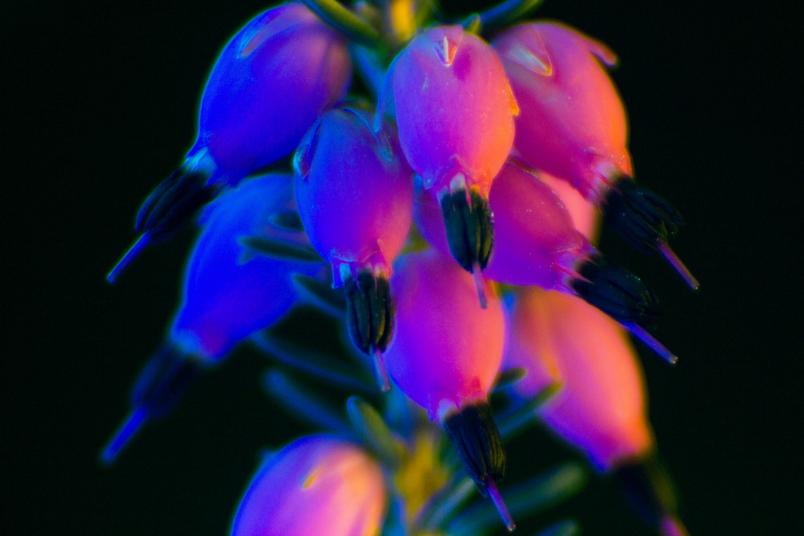 The Exuberant Neon Light Photography Of Slava Semeniuta 17