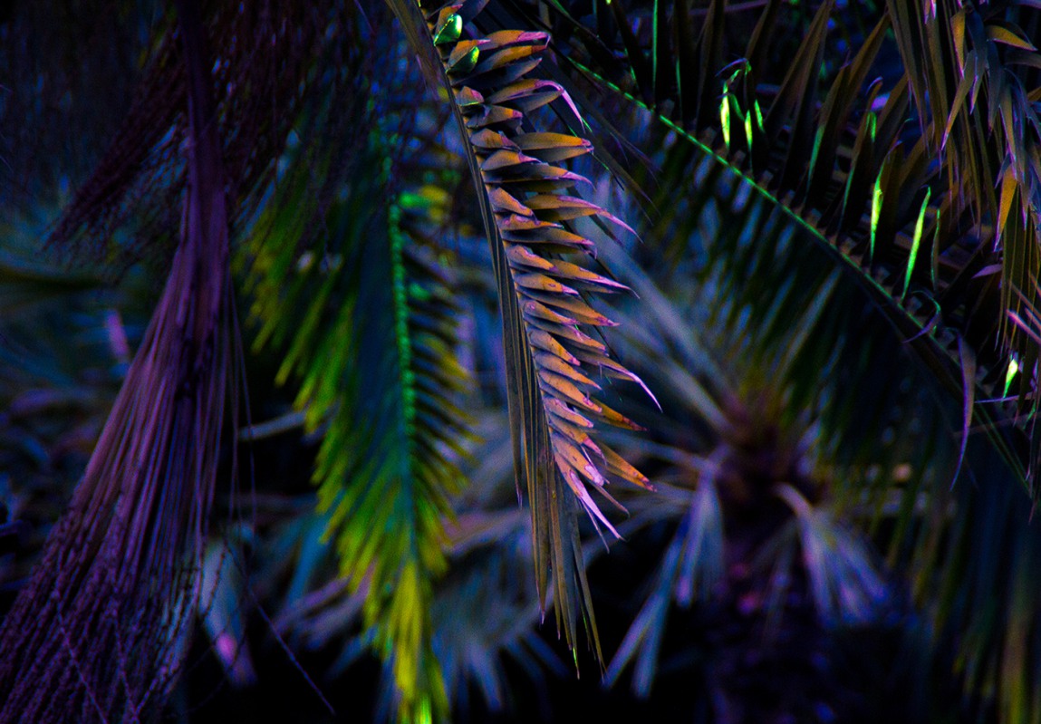 The Exuberant Neon Light Photography Of Slava Semeniuta 2