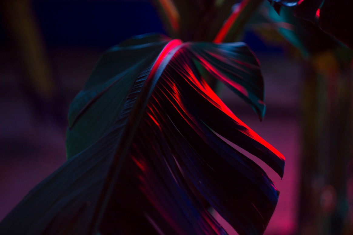 The Exuberant Neon Light Photography Of Slava Semeniuta 3