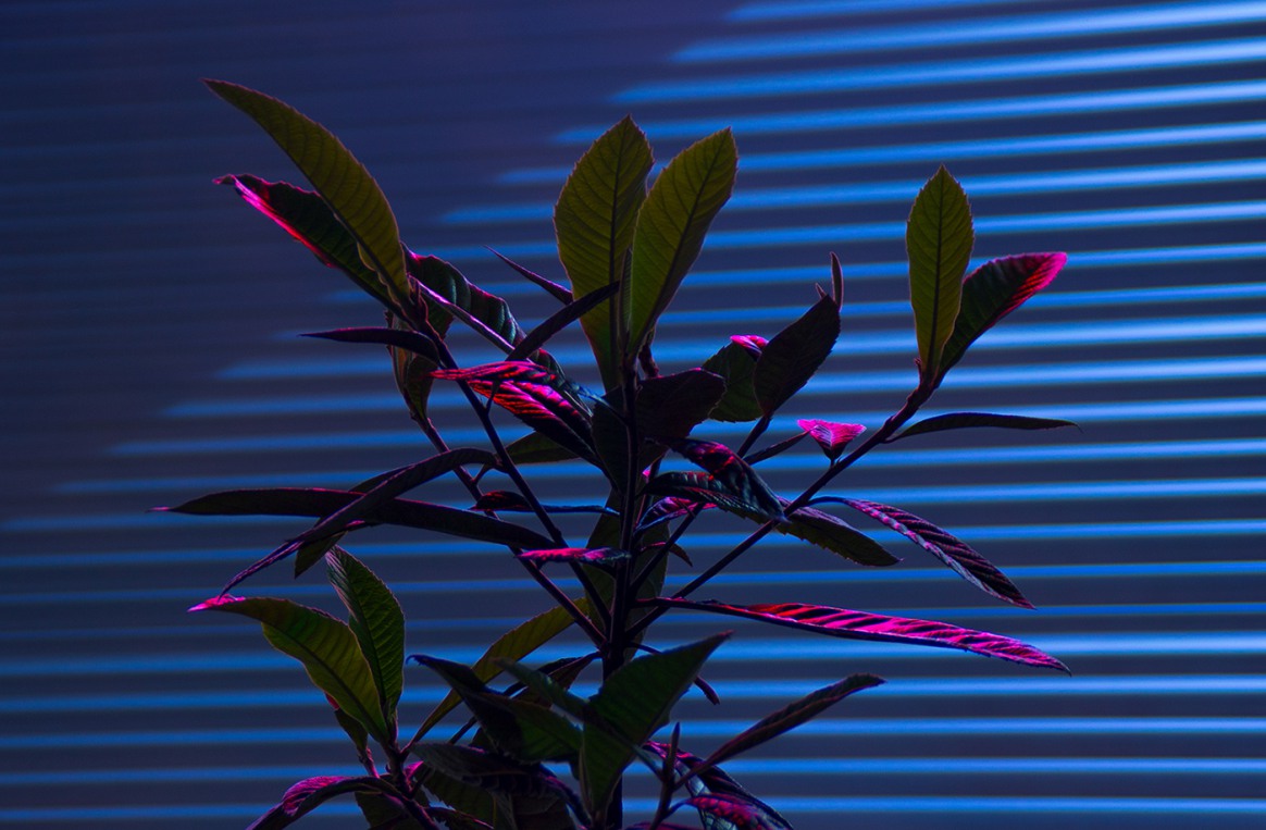 The Exuberant Neon Light Photography Of Slava Semeniuta 4