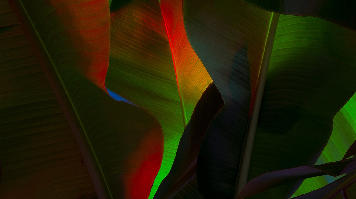 The Exuberant Neon Light Photography Of Slava Semeniuta 6