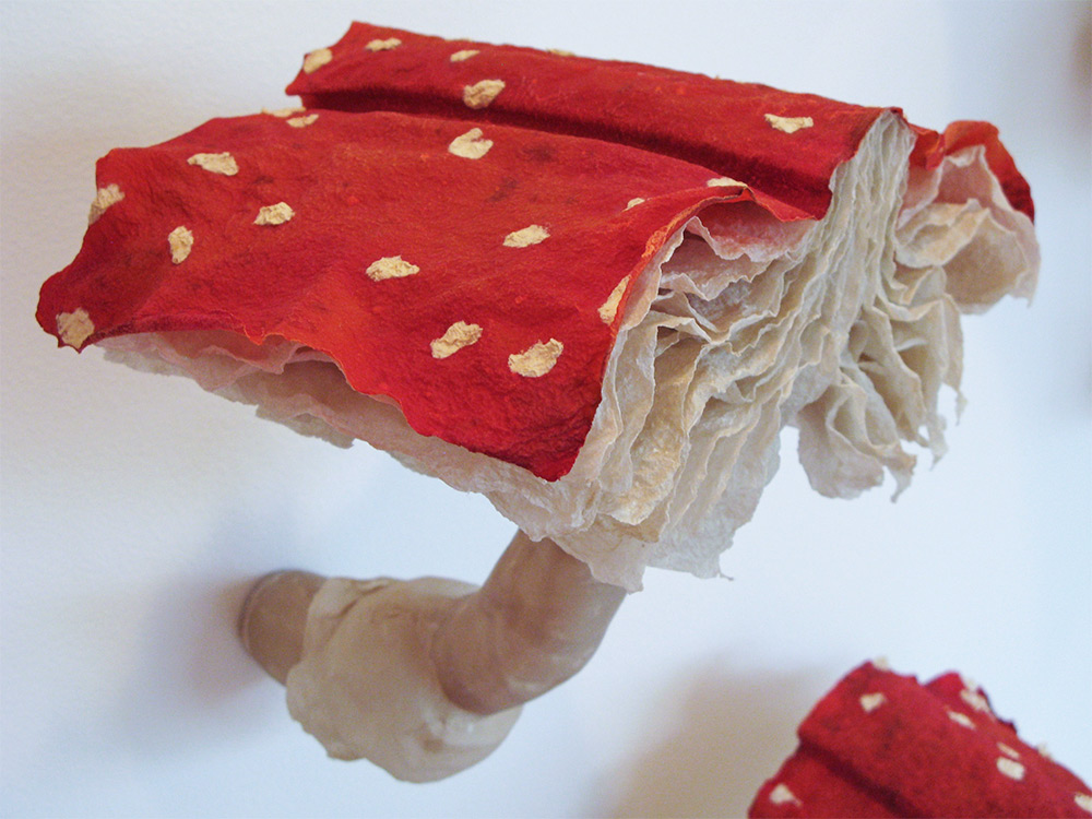 Enchanting Mushroom Book Installations By Melissa Jay Craig 1