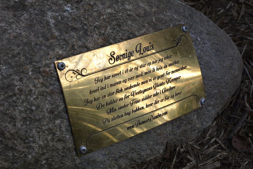 Giant Recycled Wood Sculptures Hidden In Copenhagens Green Spaces By Thomas Dambo 18