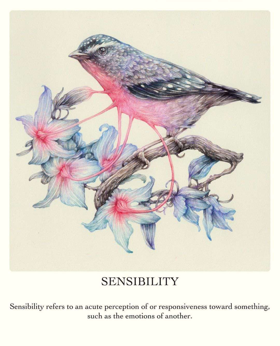 Surrealistic And Allegorical Fauna And Flora Colored Pencil Drawings By Marco Mazzoni 11