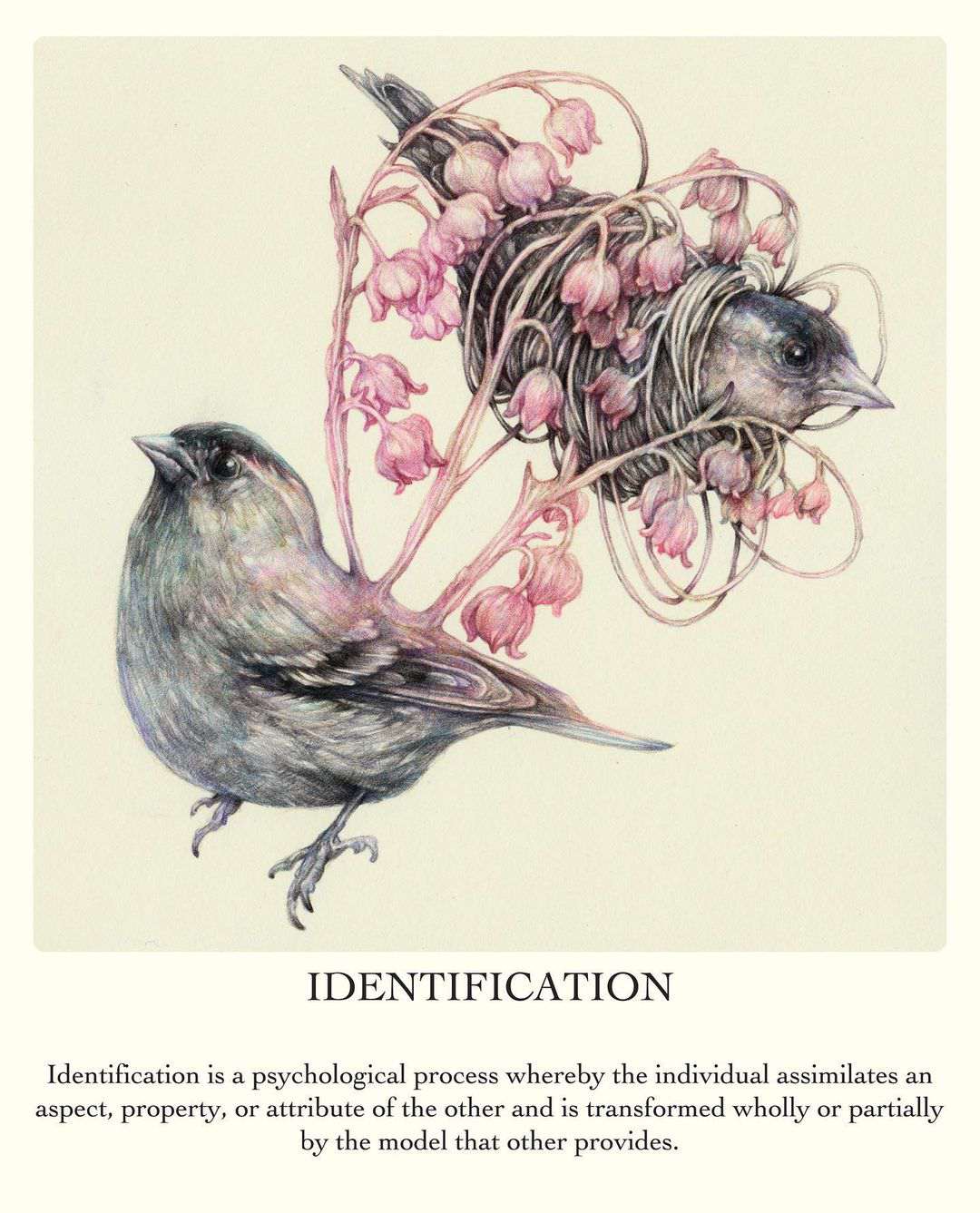 Surrealistic And Allegorical Fauna And Flora Colored Pencil Drawings By Marco Mazzoni 12