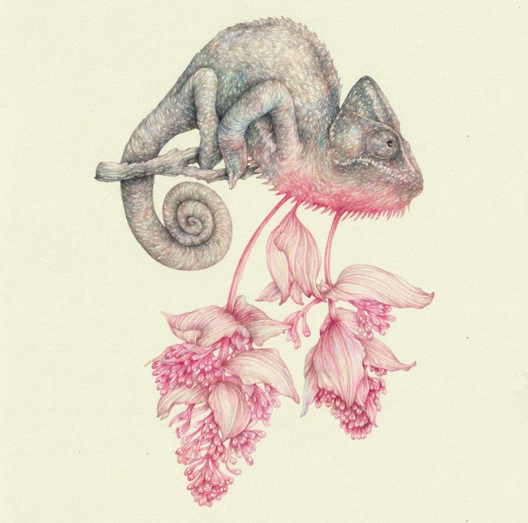 Surrealistic And Allegorical Fauna And Flora Colored Pencil Drawings By Marco Mazzoni 13