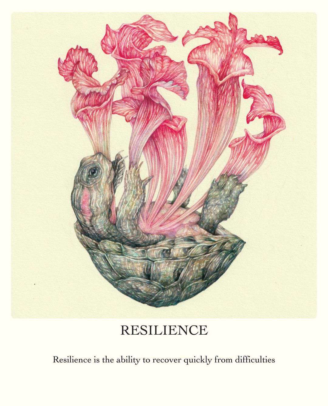 Surrealistic And Allegorical Fauna And Flora Colored Pencil Drawings By Marco Mazzoni 7