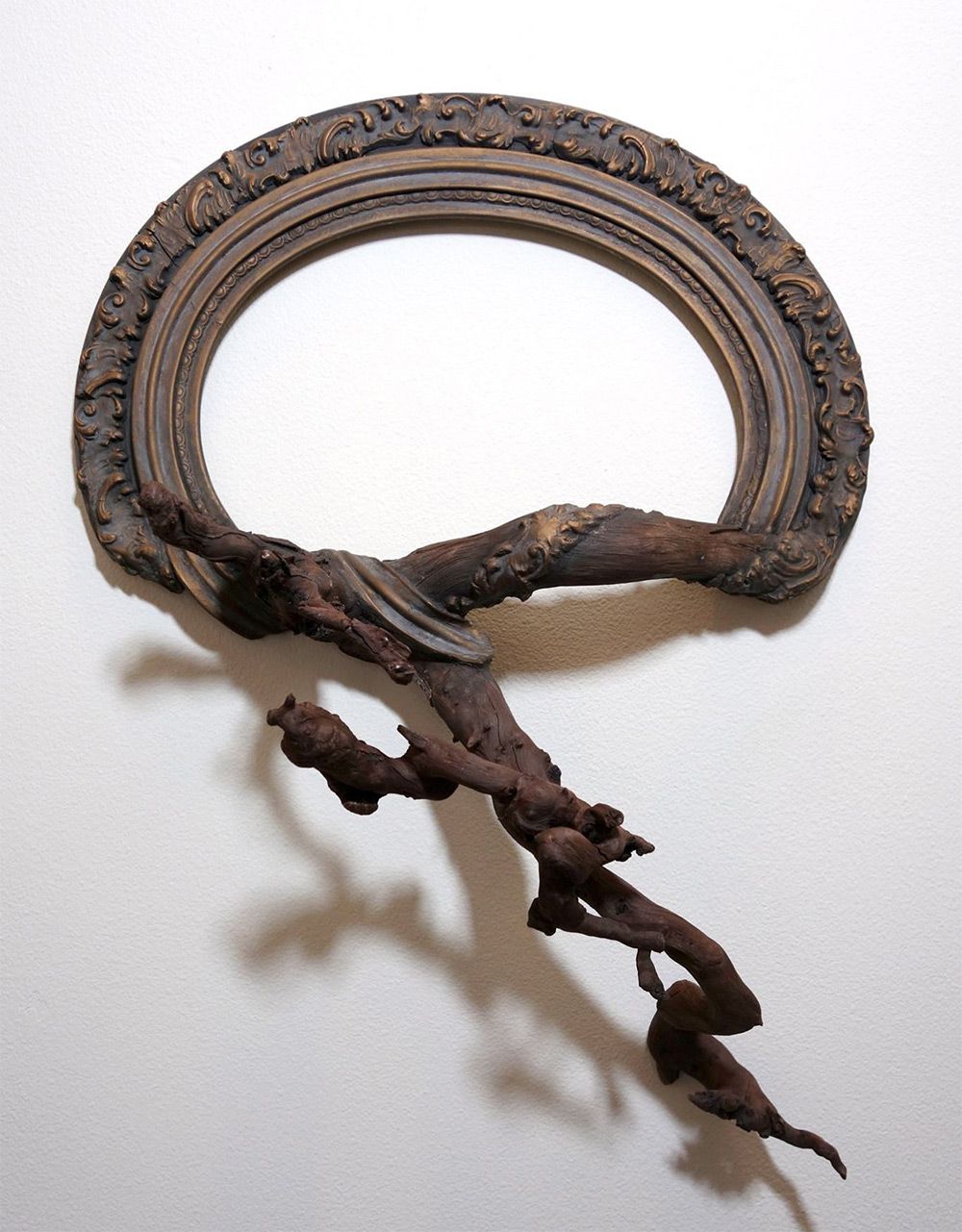 Tree Roots And Branches Fused With Ornate Picture Frames By Darryl Cox 9