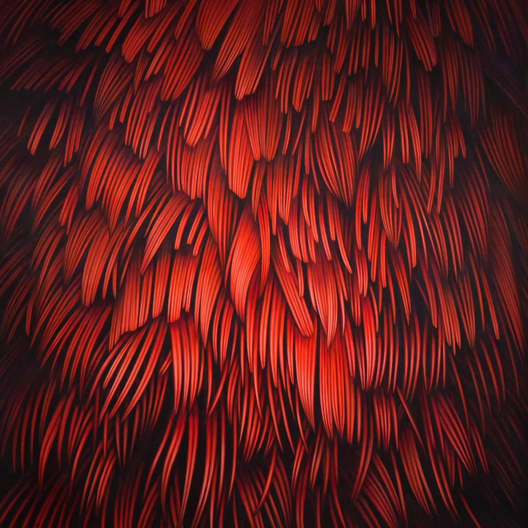 Vibrant Murals Of Colored Feathers By Adele Renault 1