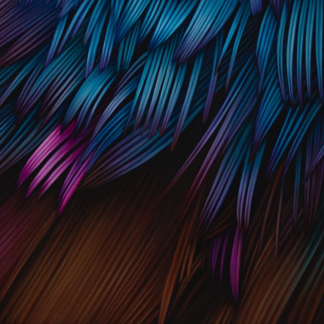 Vibrant Murals Of Colored Feathers By Adele Renault 2