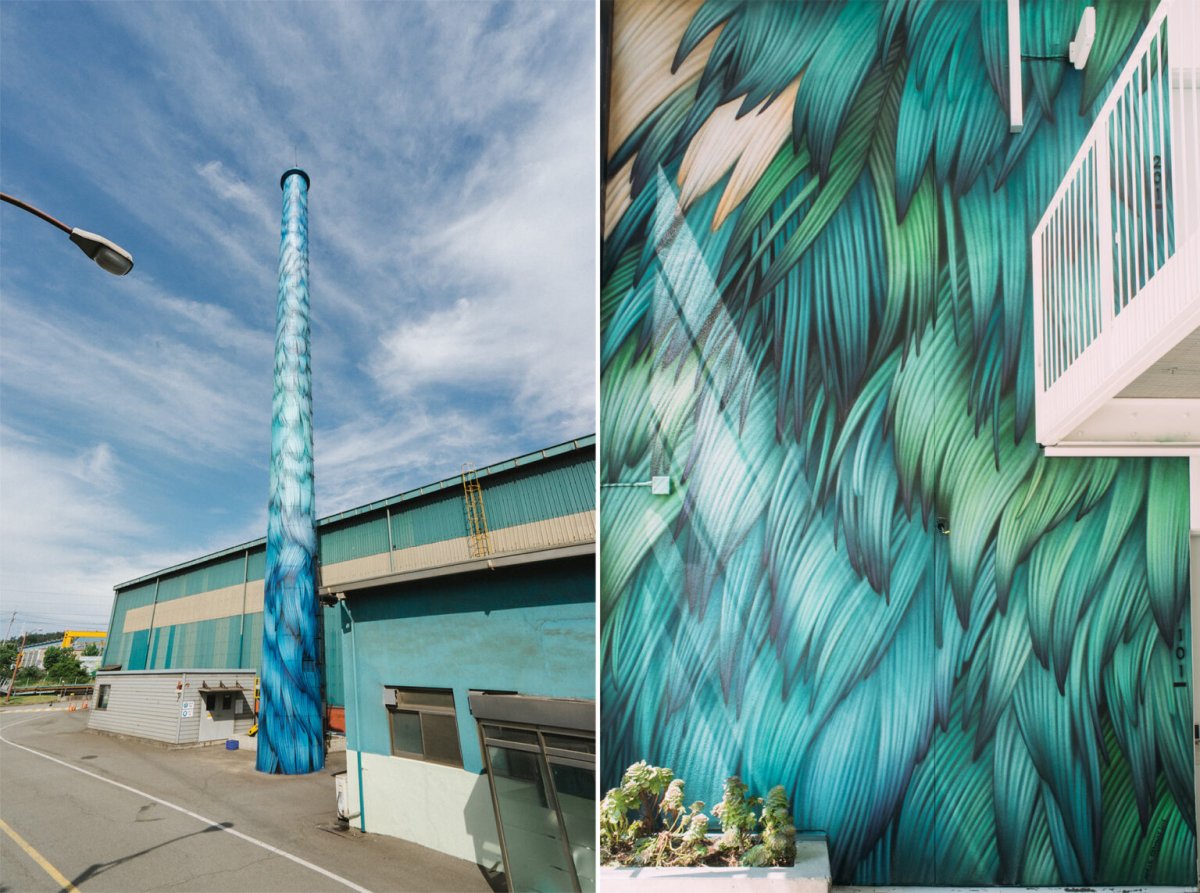 Vibrant Murals Of Colored Feathers By Adele Renault 7