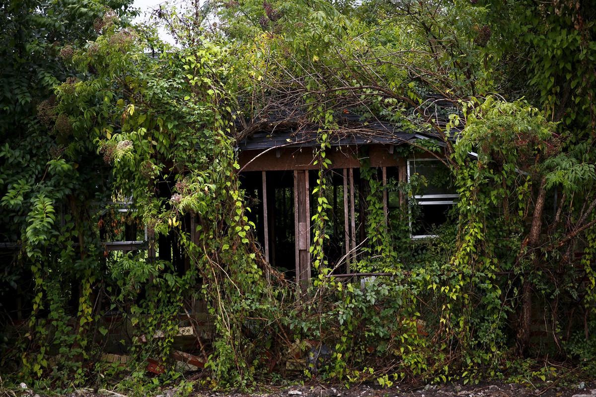 35 Photos That Show How The Earth Would Be Like After People 20