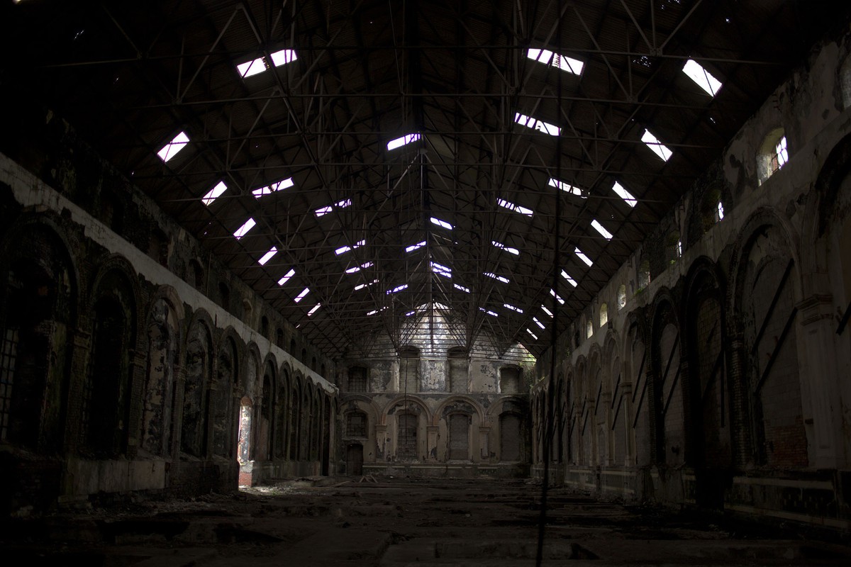 35 Photos That Show How The Earth Would Be Like After People 31