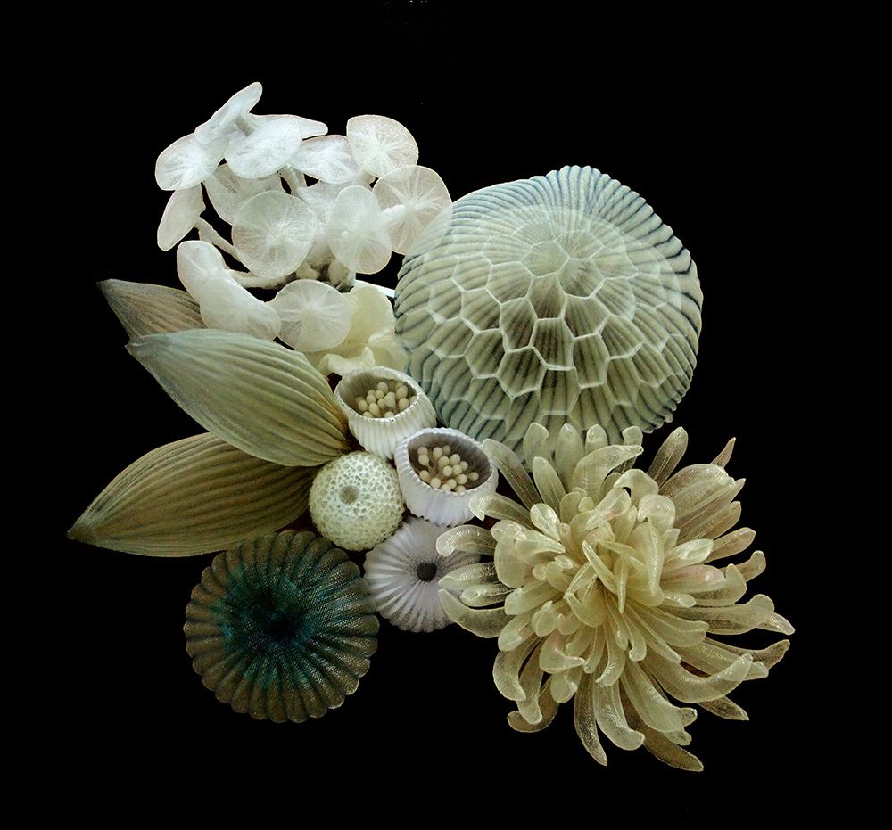 Absolutely Stunning Translucent Textile Sculptures In The Shape Of Organisms And Common Objects By Mariko Kusumoto 12