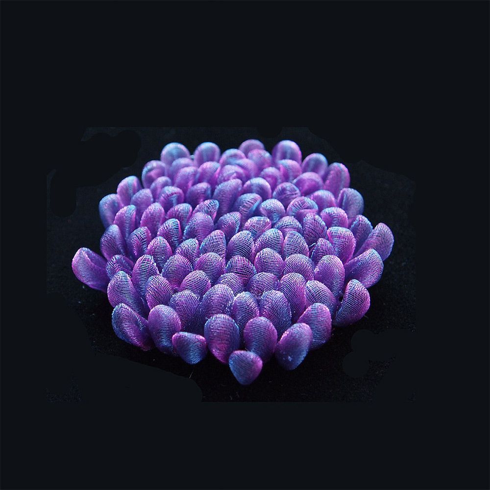 Absolutely Stunning Translucent Textile Sculptures In The Shape Of Organisms And Common Objects By Mariko Kusumoto 14