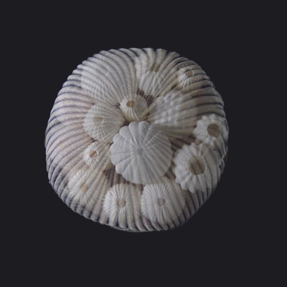 Absolutely Stunning Translucent Textile Sculptures In The Shape Of Organisms And Common Objects By Mariko Kusumoto 21